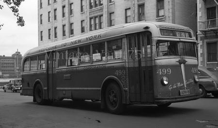 1938 white 788 (new york city omnibus corporation #499) SPTC211.02 Model 1 48